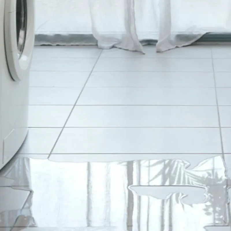 Appliance Leak Cleanup in Marysville, MI