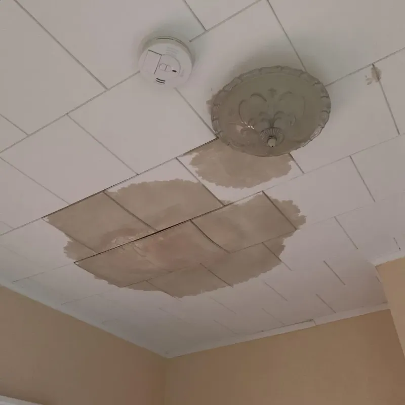 Ceiling Water Damage Repair in Marysville, MI