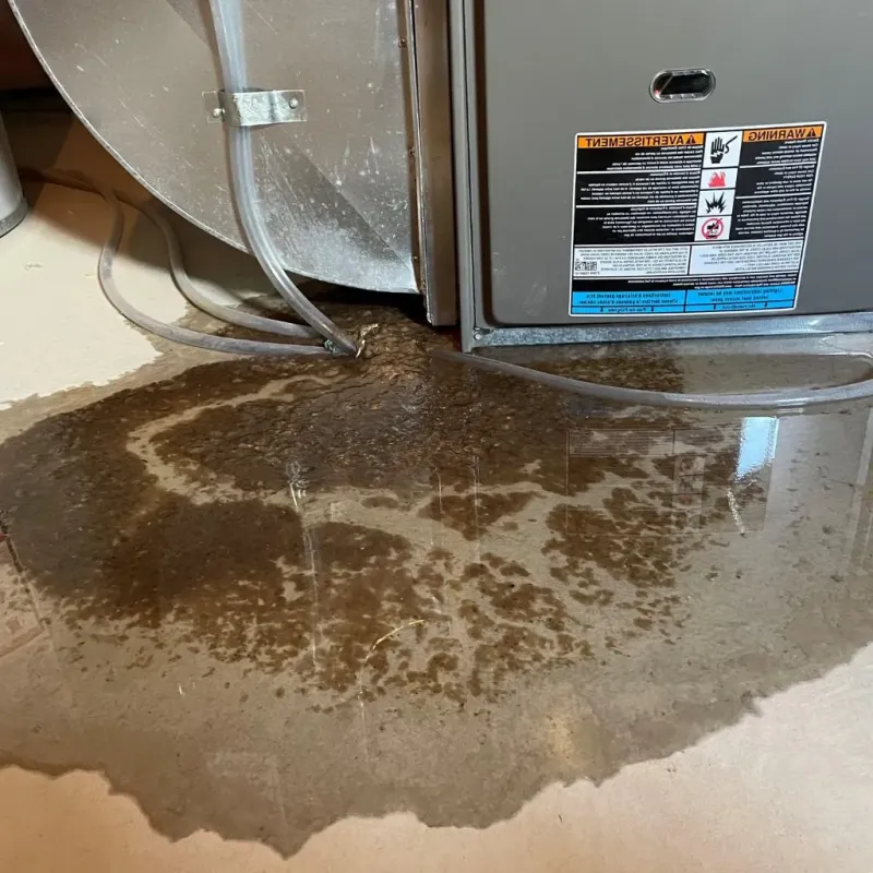 Pipe Burst and Leak Restoration in Marysville, MI