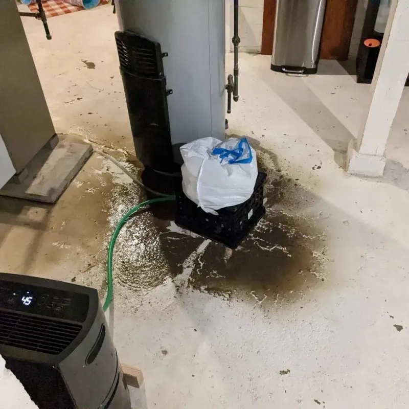 Sewage Backup Cleanup Service in Marysville, MI